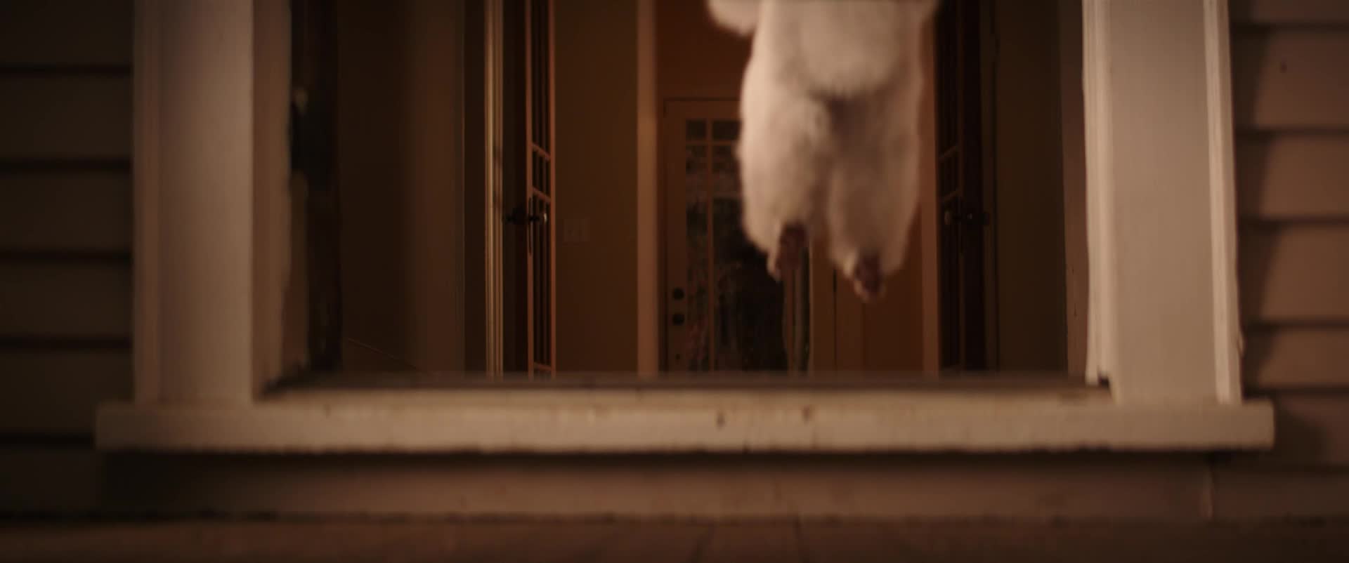 Husí kůže 2015 CZ dabing HD