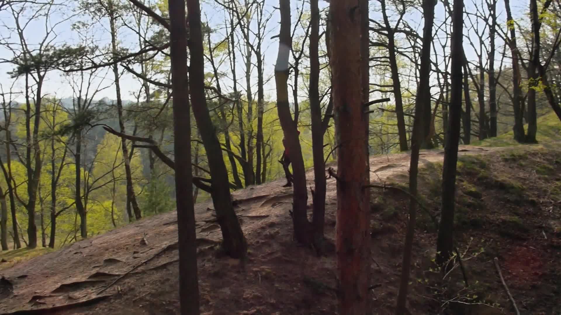 Jak Honza ke štěstí přišel 2015 CZ dabing HD 1080p