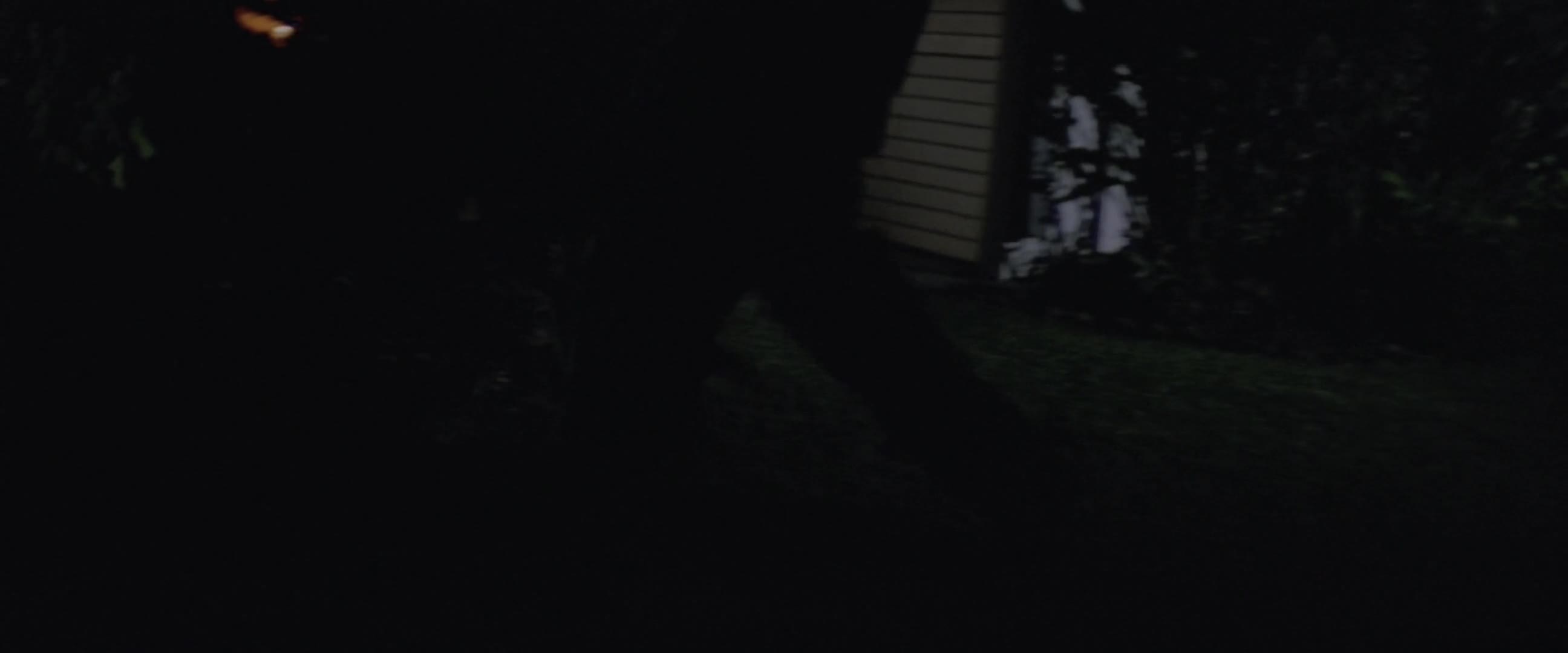 Halloween 2 1981 CZ dabing HD