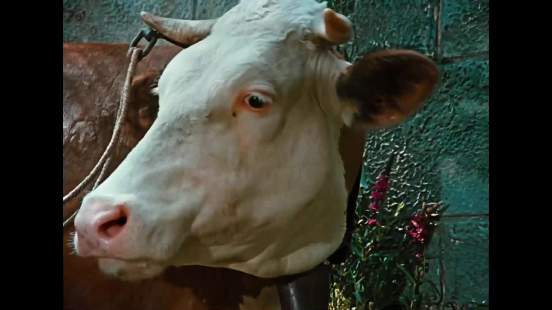 Šíleně smutná princezna {1968} pohádka, hudební, komedie 1080p