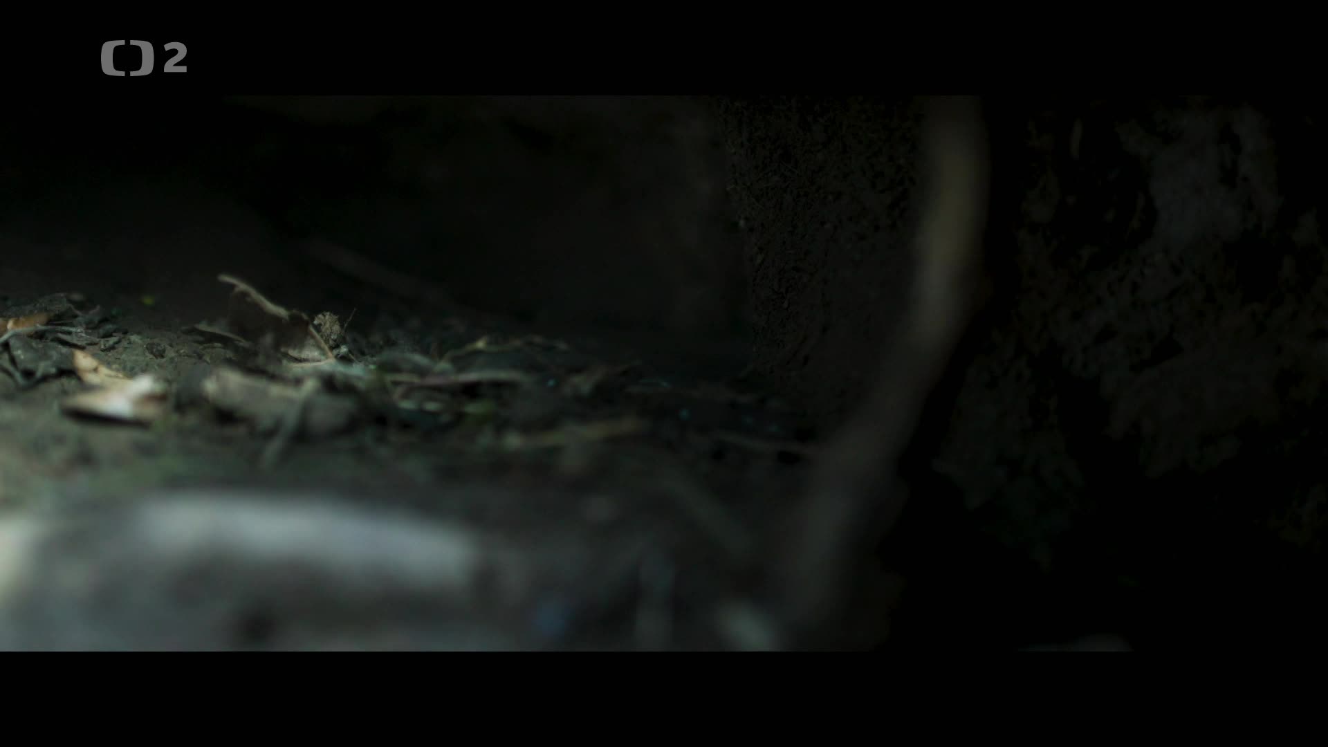 Srdce dubu 2022 DOCU CZ dabing HD