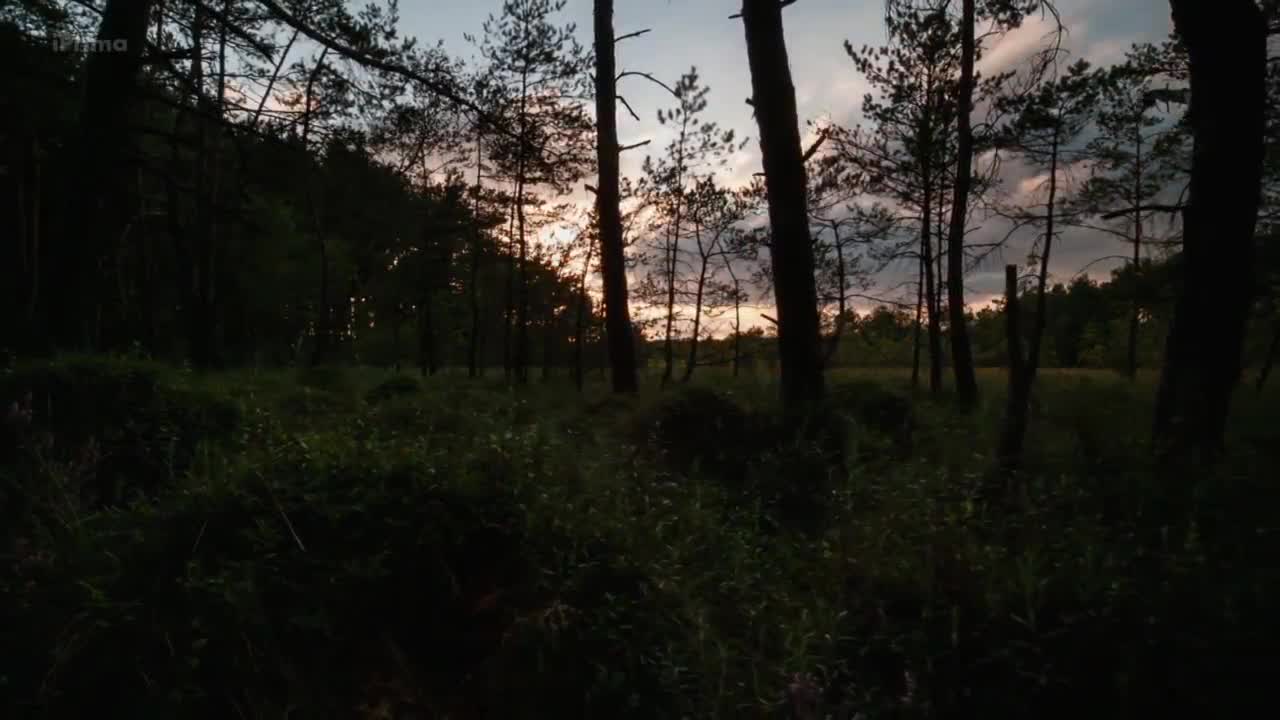 Deti Slunce 2 Motyli 2017 720p WEBRip CZ