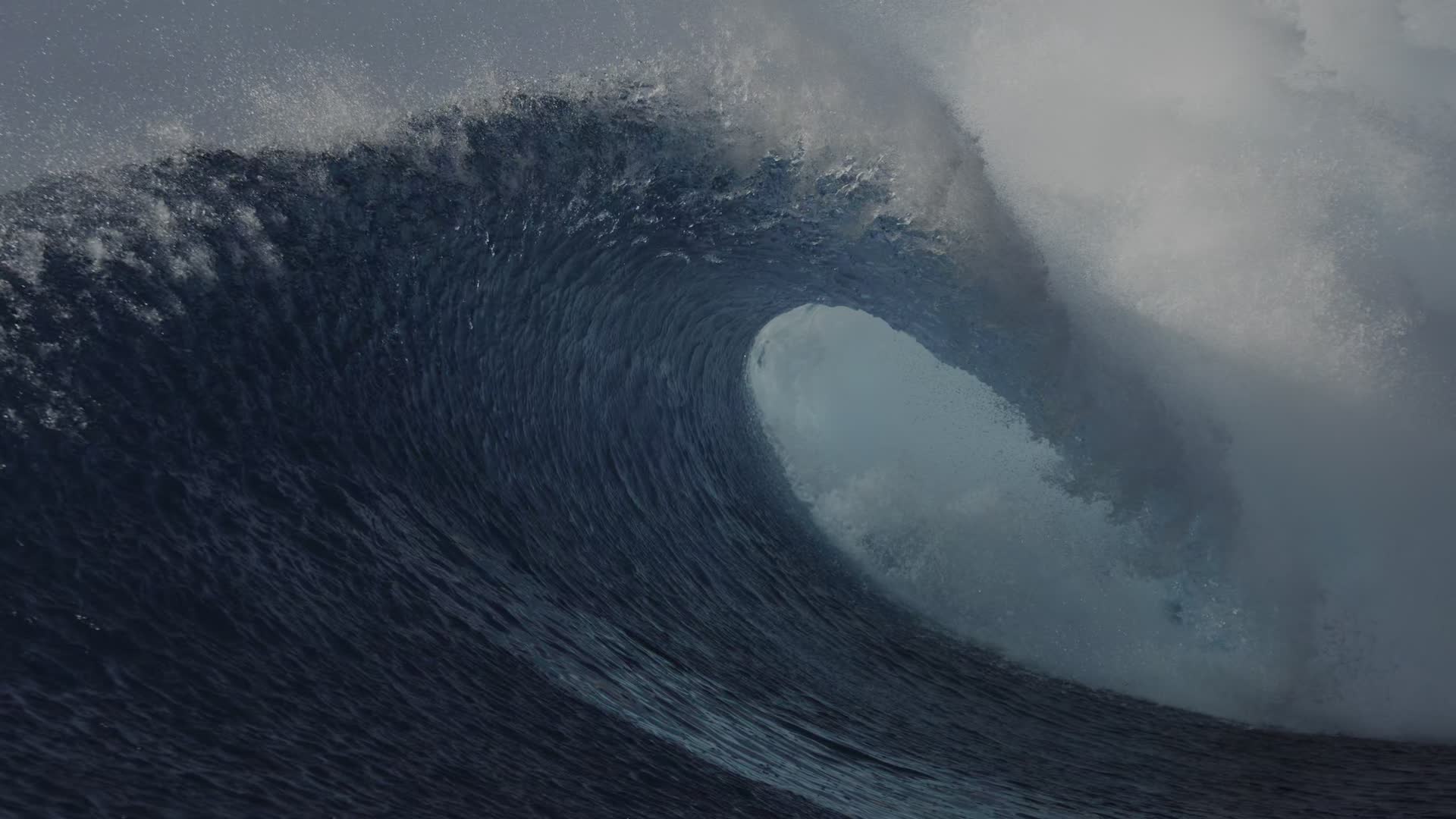 Zivot na nasi planete S01E02 2   kapitola  Nezname uzemi
