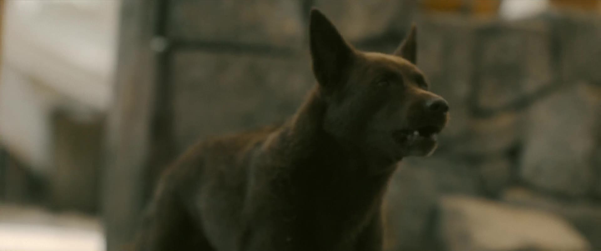 Eden - Vítejte v ráji 2024 CZ dabing HD