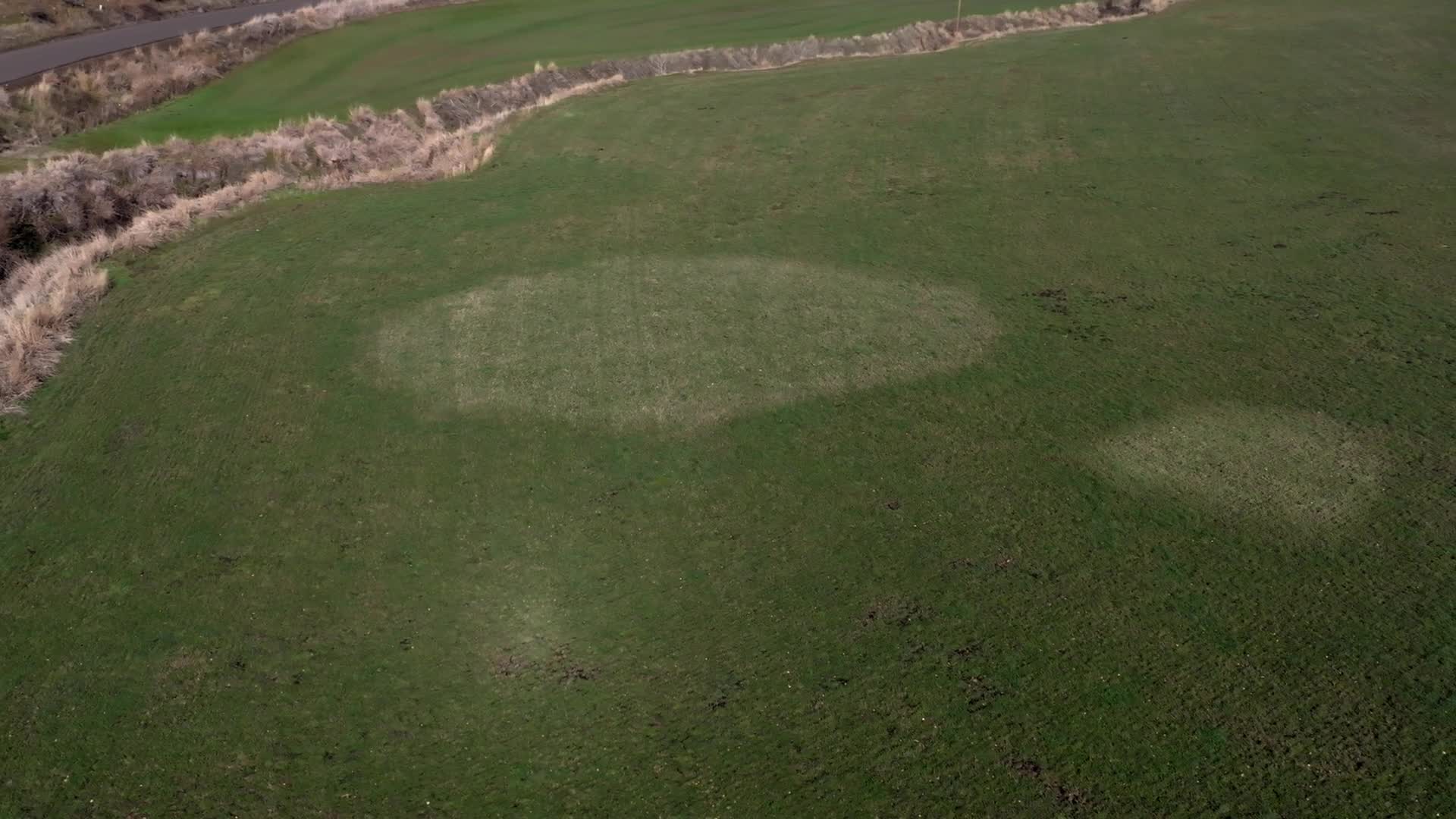 Pátrání po vetřelcích S01E01 2024 CZ dabing HD 1080p