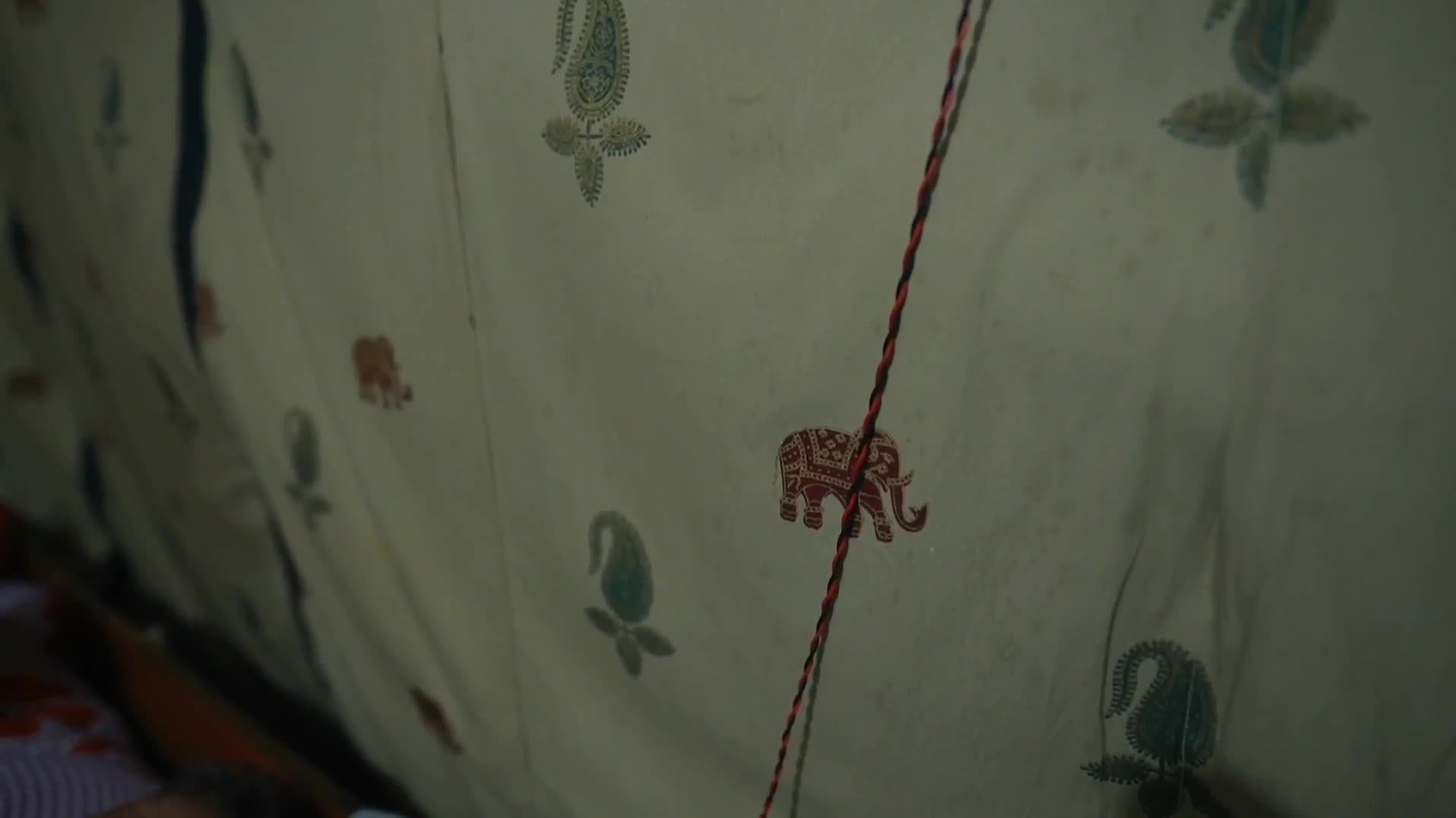 Trabantem tam a zase zpatky 2019 novinka CZ dabing Full HD 1080p Pucci film