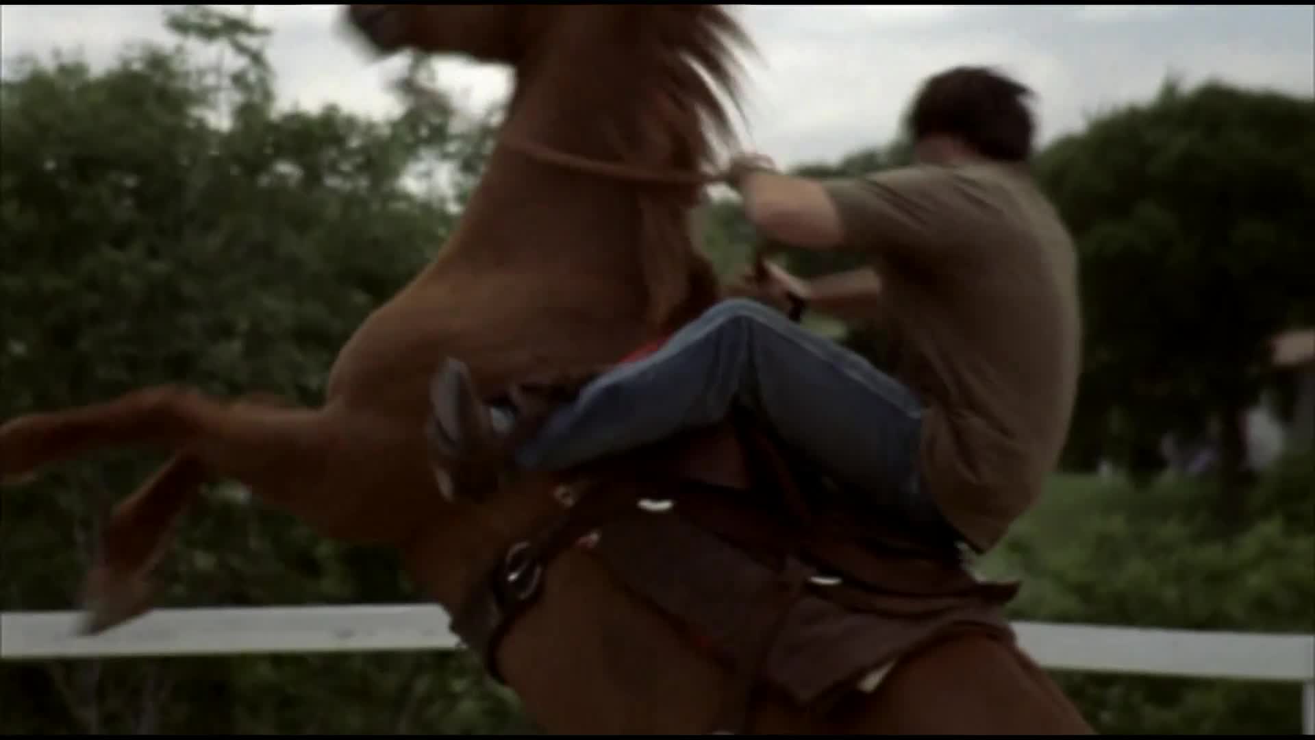 Kráčející skála 2 2007 CZ dabing