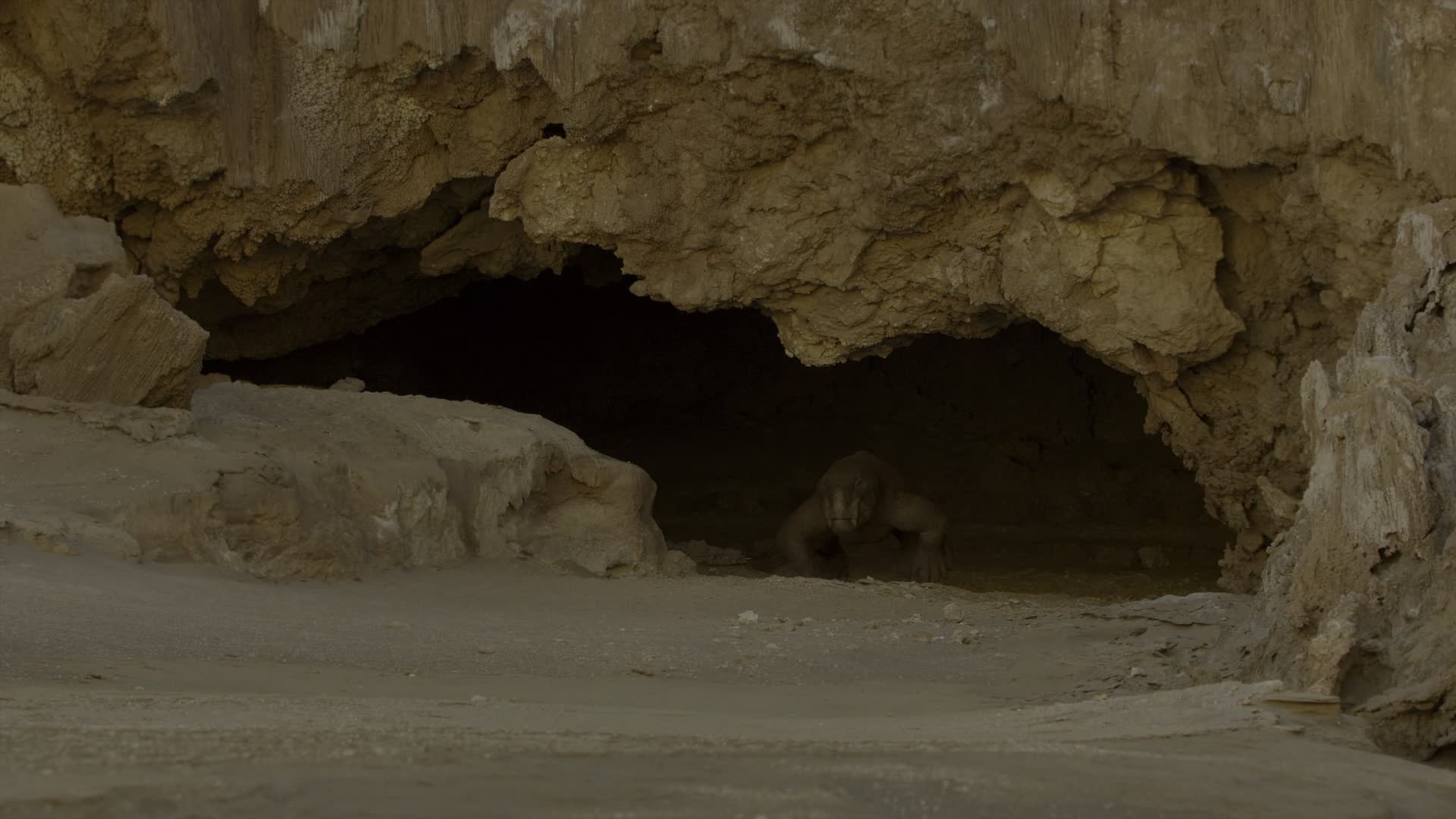 Zivot na nasi planete S01E04 4   kapitola  Chladnokrevne