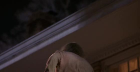 Blbý a ještě blbější Jak Harry potkal Lloyda