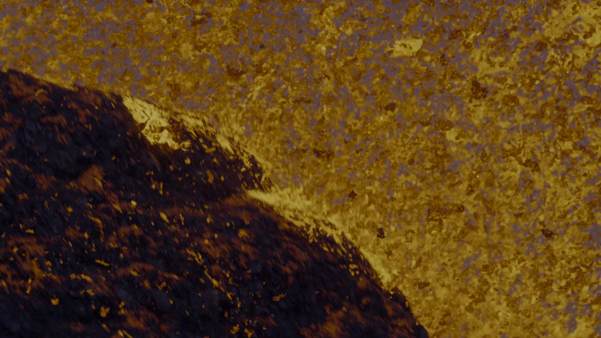 Zivot na nasi planete S01E01 1   kapitola  Pravidla zivota