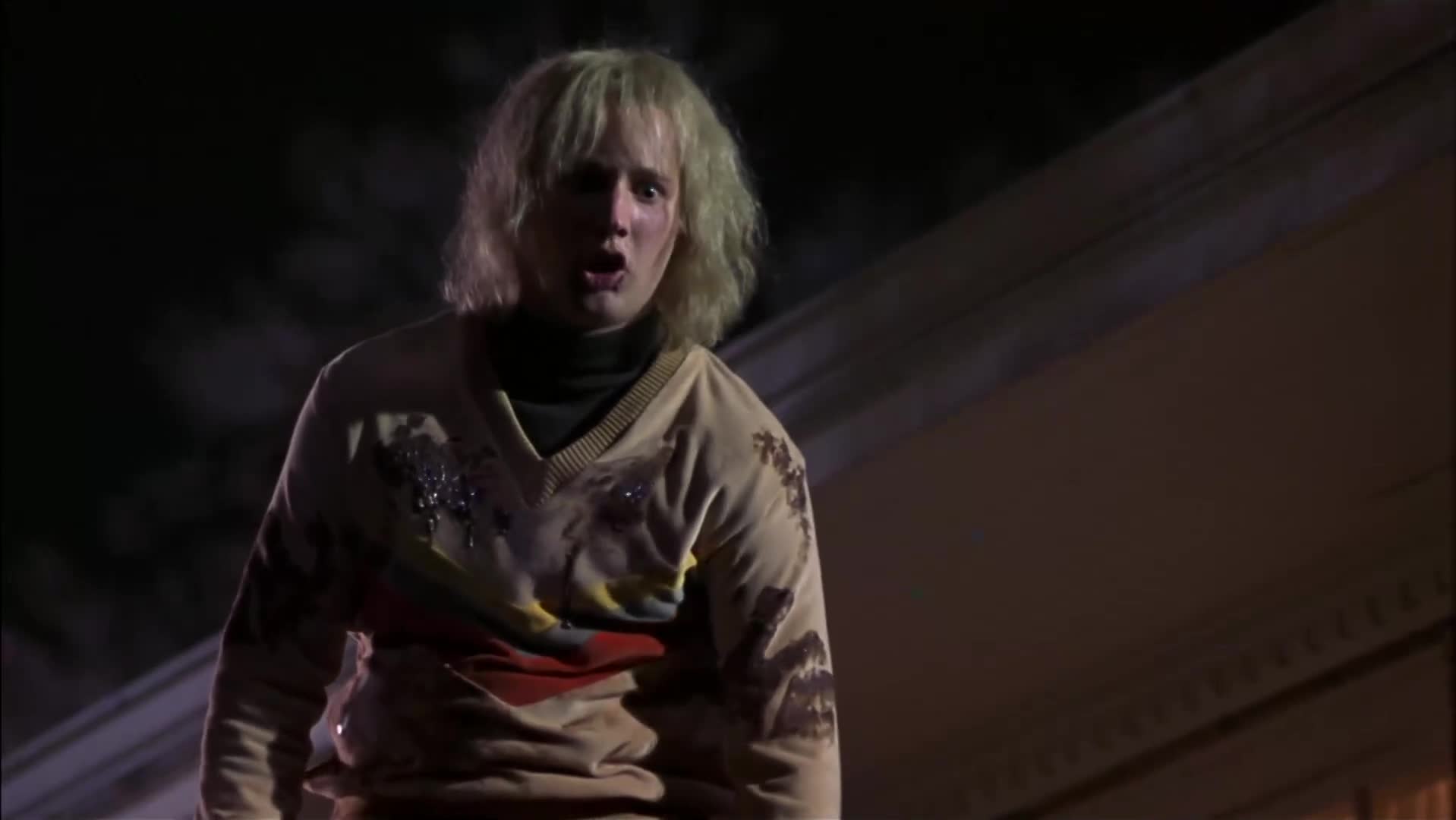 Blbý a ještě blbější: Jak Harry potkal Lloyda 2003 CZ dabing HD