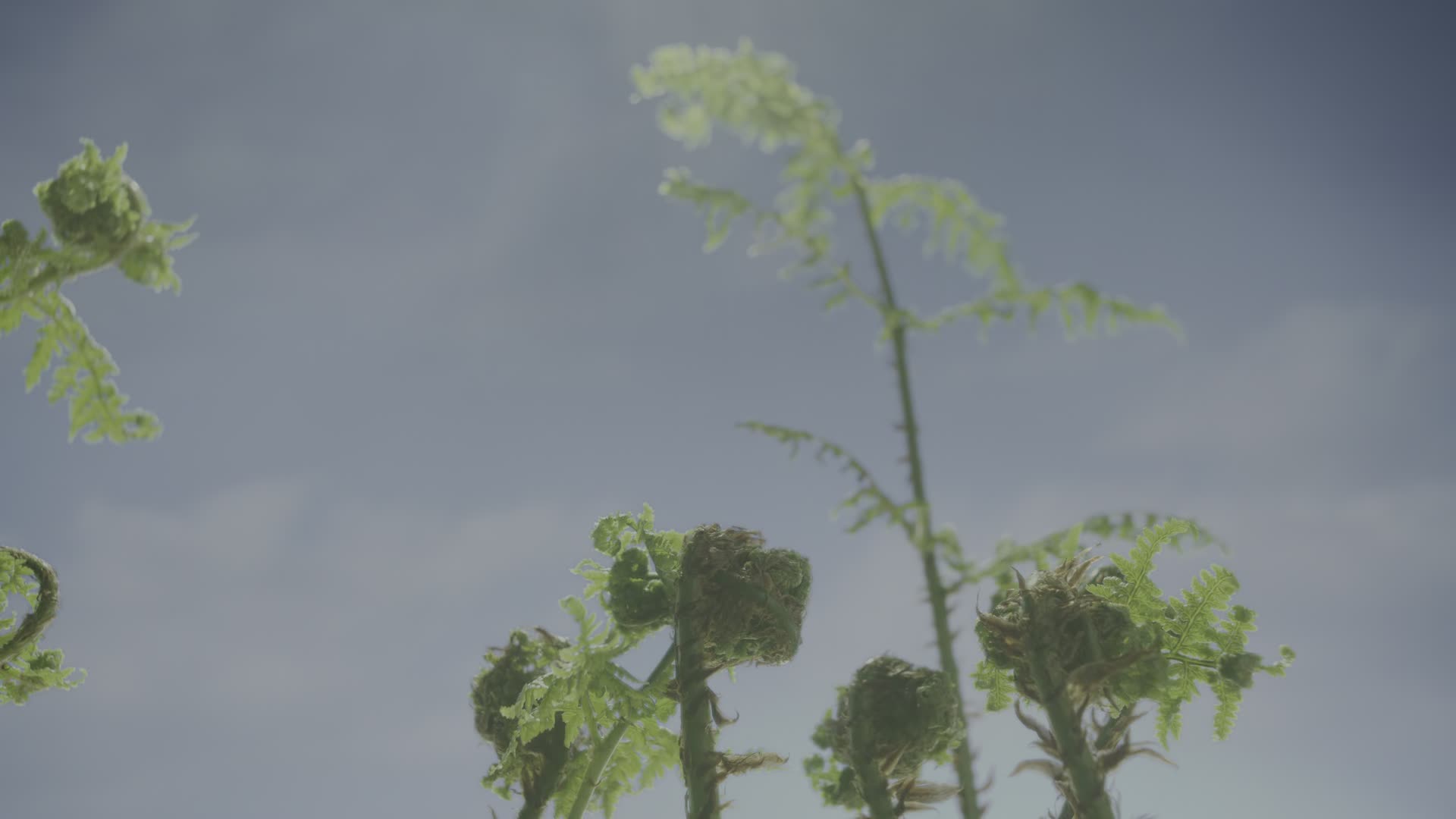 Zivot na nasi planete S01E03 3   kapitola   Vetrelci na pevnine