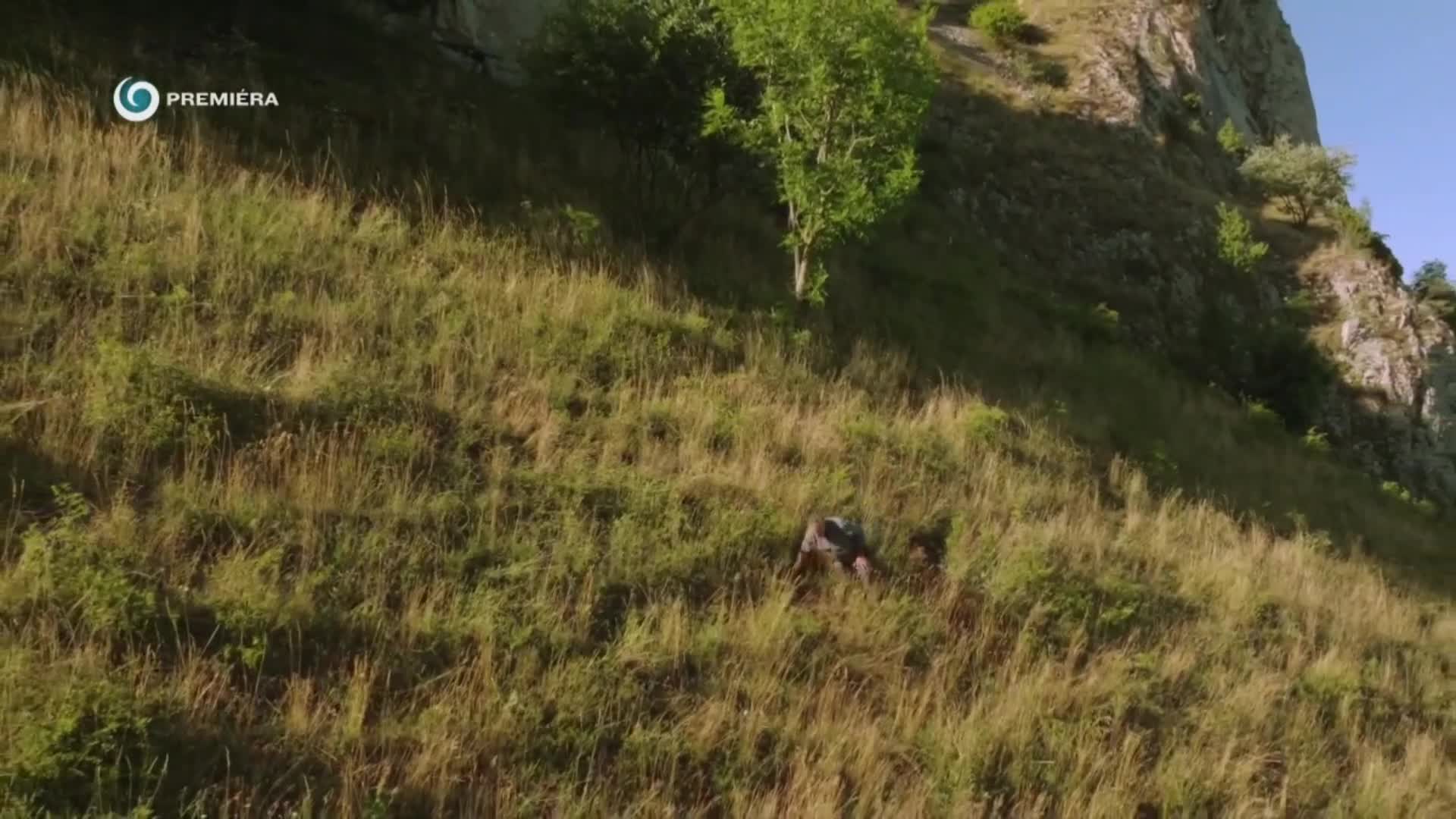 Divoké Slovensko 2 s Nigelom Marvenom 2025 SK TOP KVALITA novinka CZ dabing Full HD 1080p Pucci film