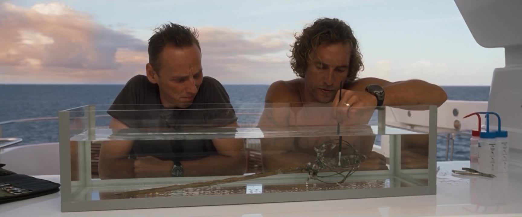 Bláznovo zlato 2008 CZ dab 1080p