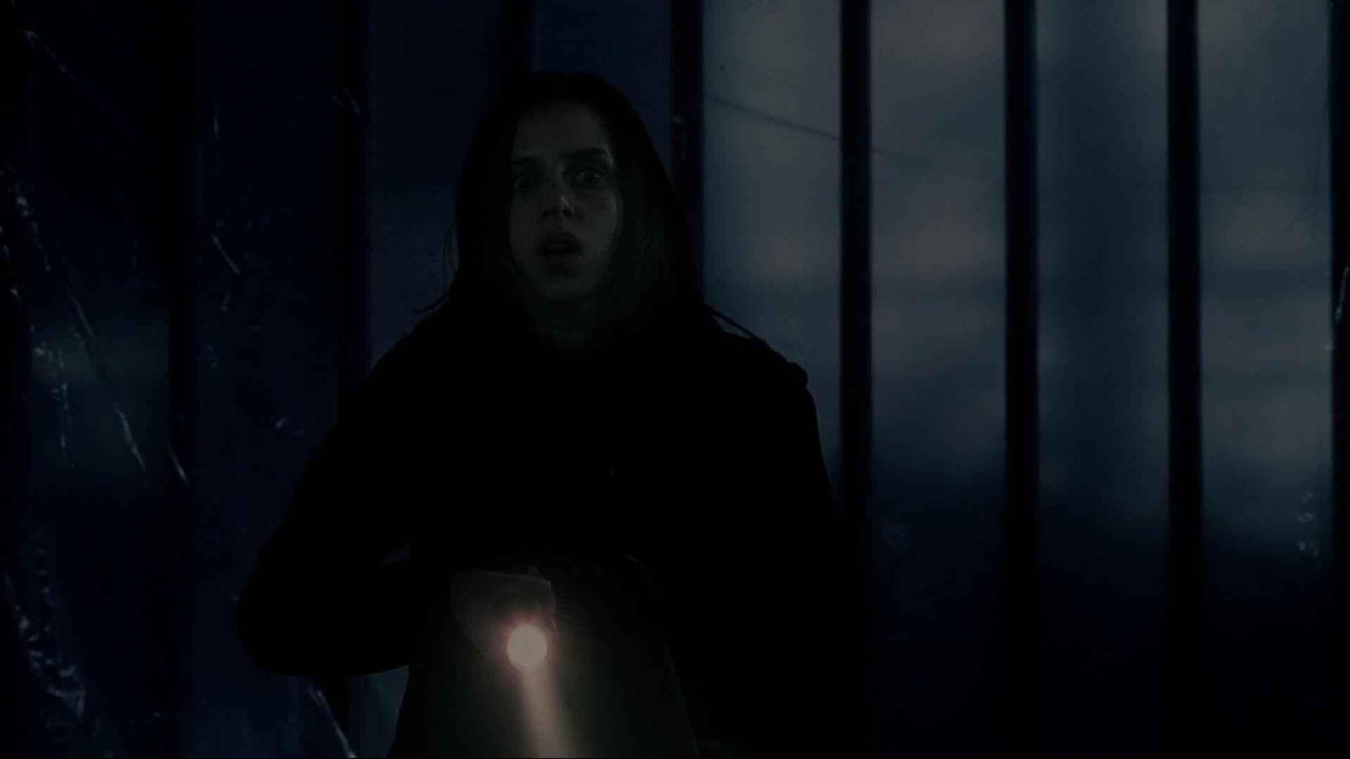 Moje sestra vlkodlak 2 2004