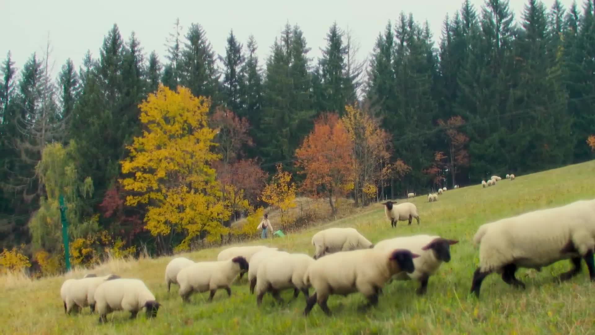 Na horách {2025} CZ romantický, komedie, dobrodružný 1080p