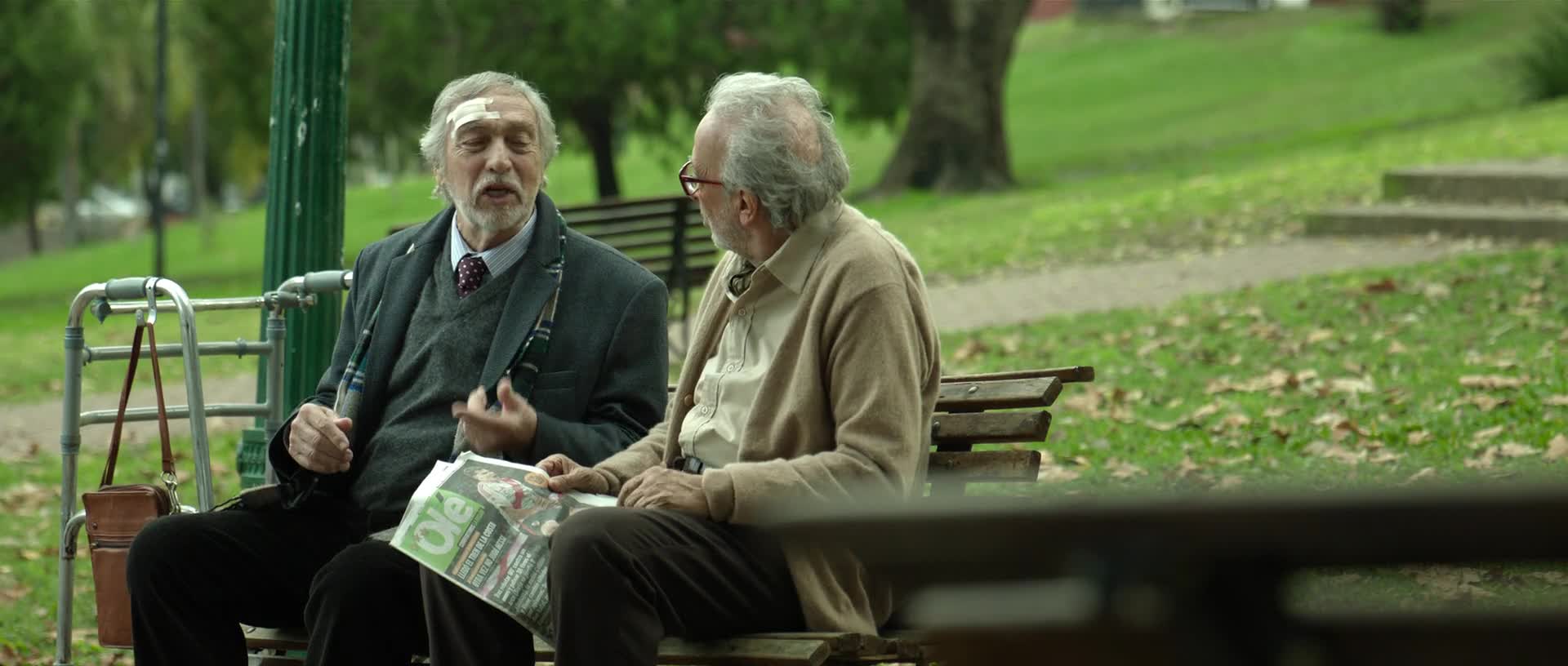 Dva neznámí z parku 2026 CZ titulky HD